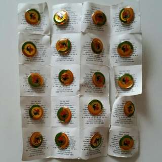 Singapore Scout Pins Badges