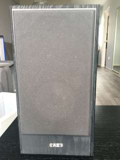 Pioneer with AE speaker