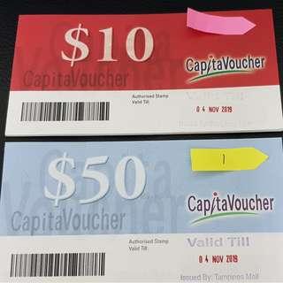 WTS CapitaVoucher