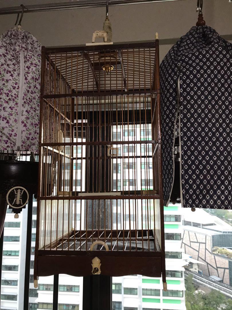 Tall Square cage (Category: Homes & Other Pet Accessories) located in Singapore. Submitted by jewellerycollector (Listing ID 1048538720, Image 4). Description: Tall square cage 10.5” x 10.5” and 27” tall, suitable for small bird. Interested pls PM and deal at Fernvale .