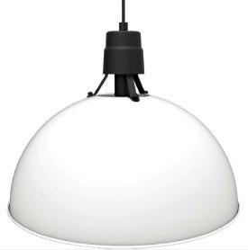 Pendant Lights