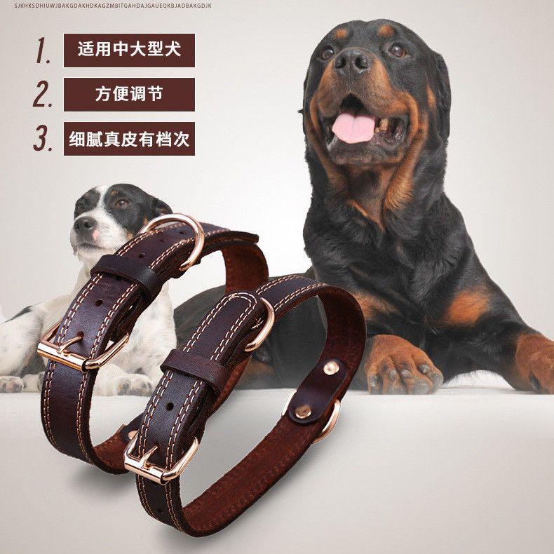 Belt (Category: Homes & Other Pet Accessories) located in Singapore. Submitted by sophiachong800 (Listing ID 1120143508, Image 2). Description: 头层牛皮针扣狗狗项圈脖套狗链子大中小型金毛德牧哈士奇狗皮圈 The first layer of cowhide braided needle dog collar dog chain large, medium and small Golden Retriever German Shepherd Husky leather dog collar.