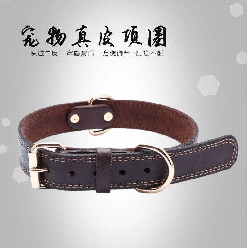 Belt (Category: Homes & Other Pet Accessories) located in Singapore. Submitted by sophiachong800 (Listing ID 1120143508, Image 1). Description: 头层牛皮针扣狗狗项圈脖套狗链子大中小型金毛德牧哈士奇狗皮圈 The first layer of cowhide braided needle dog collar dog chain large, medium and small Golden Retriever German Shepherd Husky leather dog collar.