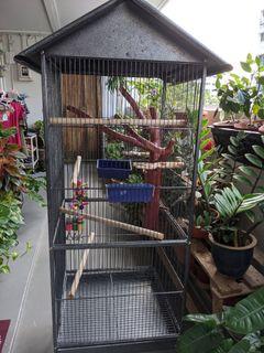 Bird Cage