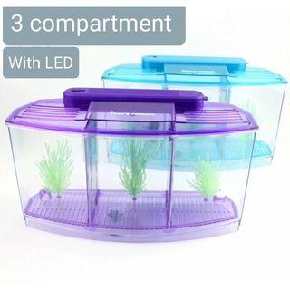 Local Supplier. 3 Compartment Betta tank. fish tank for fighting fish. Tank come with fish tank light. MMZ1830