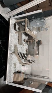 Syrian 2months old, comes with everything you need