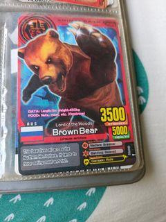 Brown Bear animal kaiser