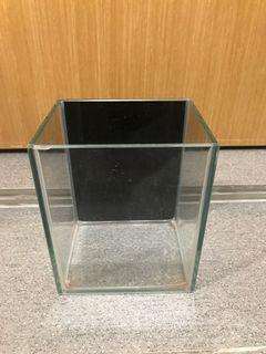 Betta fish tank (Glass)