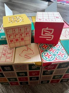 BNIB Wooden blocks with Chinese characters for Preschoolers