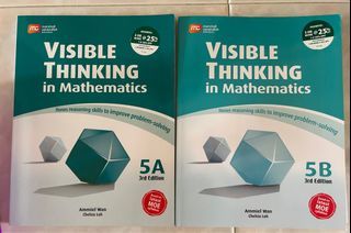 P5A and 5B Visible Thinking