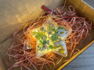 Preserved Flower LED Fairy Lights Gift/Preserved Flower Decor Ornament/Wishing Star Bottle/ Christmas Tree Decor Ornament / Xmas Tree Star Topper /Anniversary Gift/Birthday Gift / Couple Girlfriend Gift/ Mother’s Day Gift/Valentines Gift Box/Xmas Gift