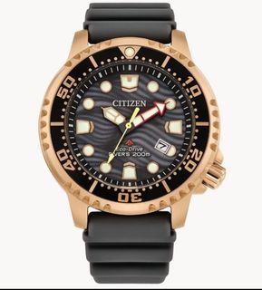 [Lowest Price on Carousell] Citizen Promaster Dive Eco-Drive Gray Dial Men's Watch BN0163-00H