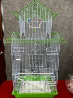 Tall Bird Cage