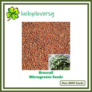 Broccoli Microgreen Seeds