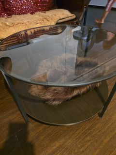 Glass Coffee Table