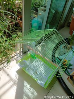 Bird cage