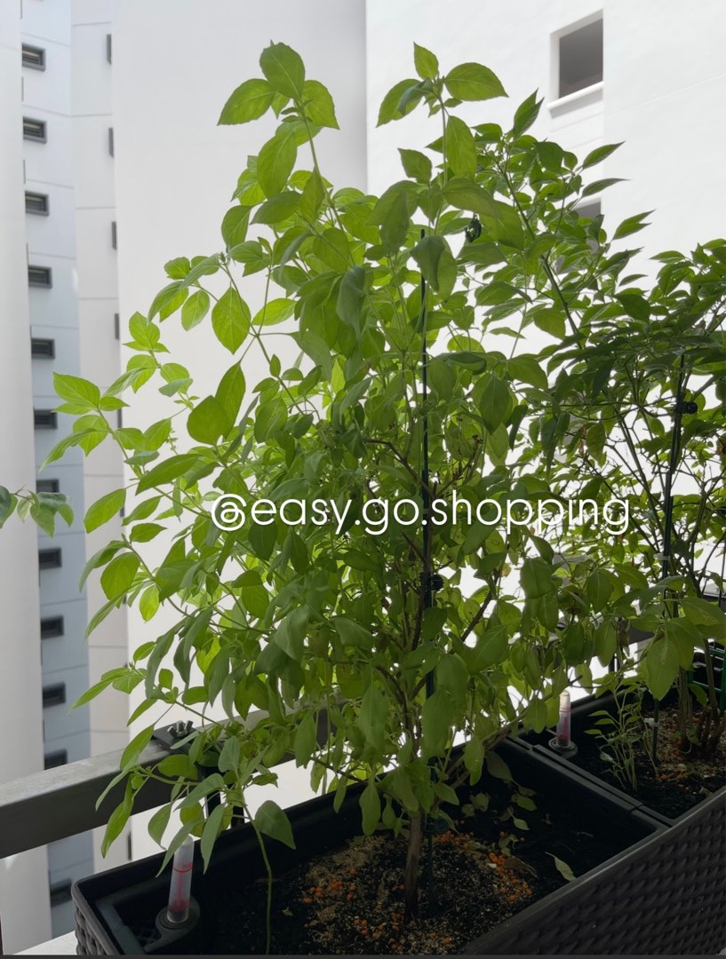 Listing background image