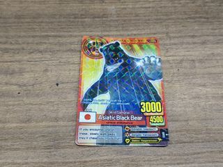Animal Kaiser Plus Black Bear