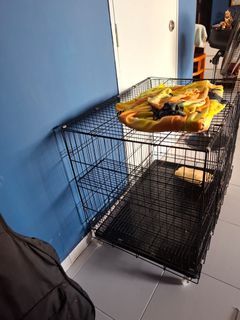 Black Metal Cage with Wheels - Pets |Cats | Dogs | Rabbits