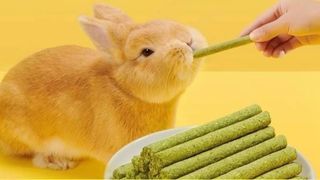 Premium Timothy Hay Treats Molar Sticks for Hamsters, Rabbits, Chinchillas, Guinea Pigs