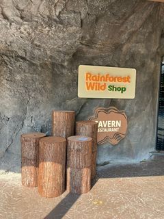 <Rental> Wooden tree log pedestal