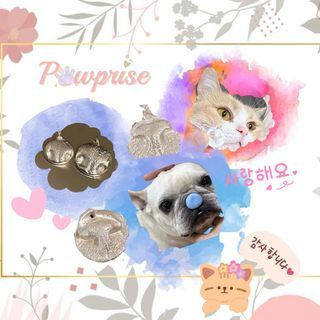 Sliver Clay DIY kit -Pet nose ver