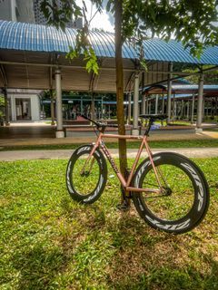 wts tsunami rose gold fb