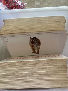 Children Flashcards