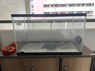 Ocean free 2ft Fish Tank
