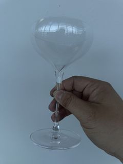 NUDE Champagne Coupe wine Glasses - Set of 6