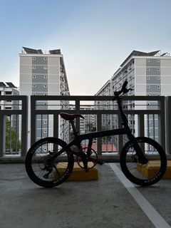 Java ARIA Carbon Folding Bike