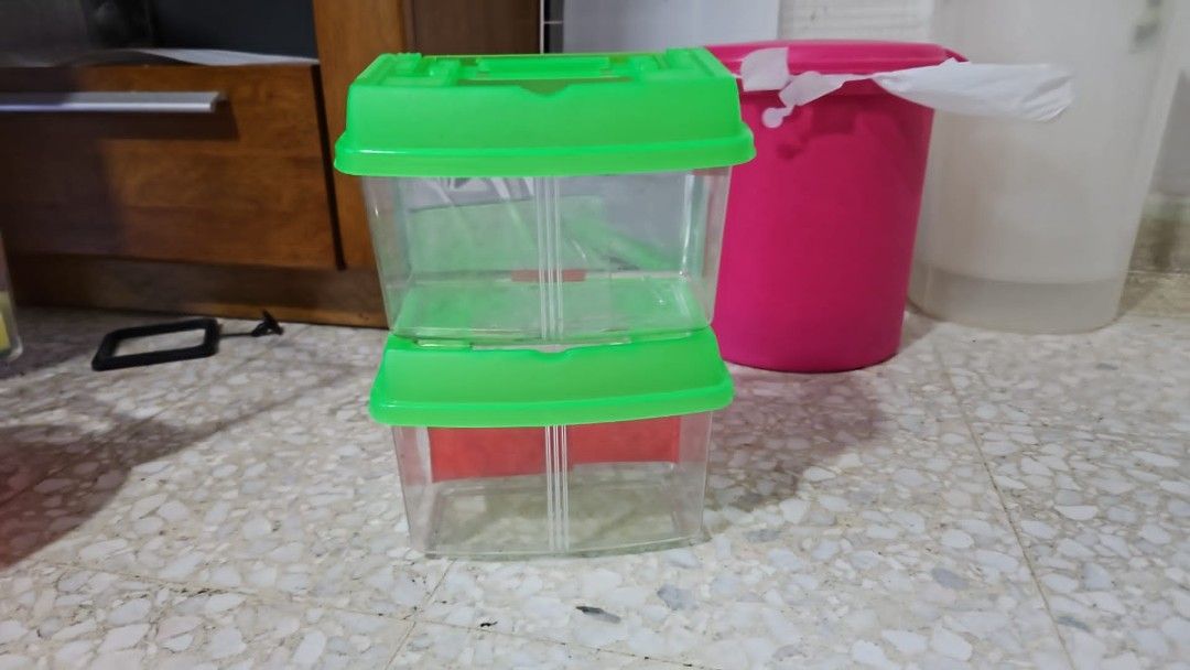 Fish Breeding Box with Green Lid (Category: Homes & Other Pet Accessories) located in Singapore. Submitted by isha75 (Listing ID 1432728121, Image 1). Description: - Two clear fish breeding boxes - Green lids - Includes a divider - Perfect for isolating or breeding small fish - Ready to use - Great for aquarium enthusiasts.