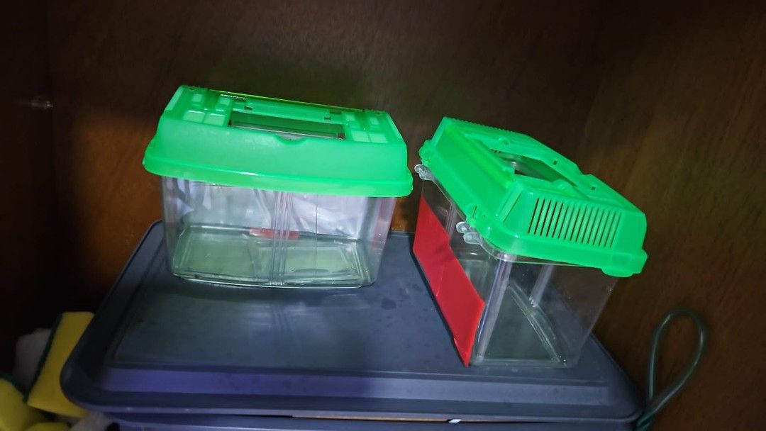 Fish Breeding Box with Green Lid (Category: Homes & Other Pet Accessories) located in Singapore. Submitted by isha75 (Listing ID 1432728121, Image 3). Description: - Two clear fish breeding boxes - Green lids - Includes a divider - Perfect for isolating or breeding small fish - Ready to use - Great for aquarium enthusiasts.