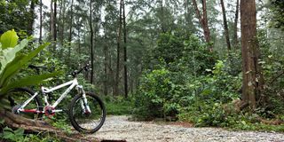 RARE Museum-Pristine TURNER Flux Full-Suspension Frame (Size S) | Made in USA