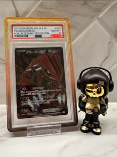PSA 10 Groudon EX Hail Blizzard Pokemon