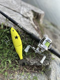 Daiwa Ryoga 2026