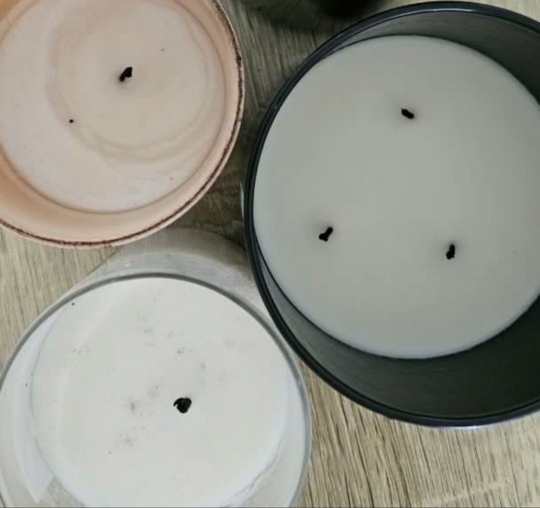 Bath & Body Works, Van Cleef & Arpels, White Barn Candles (All for $8) (Category: Home Fragrance) located in Singapore. Submitted by bc.lee (Listing ID 1443128926, Image 2). Description: - Set of 3 scented candles - Bath & Body Works 'Brightest Bloom' (8 oz) - White Barn 'Mahogany Teakwood' (High Intensity) - Van Cleef & Arpels 'Orchidée Vanille' - All candles have been previously used.