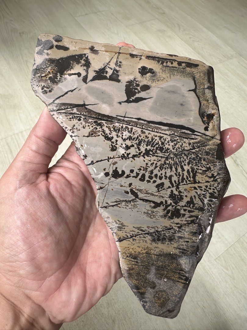 Unique stone with Chinese painting resemblance floral patterns aquarium decor household display collection (Category: Homes & Other Pet Accessories) located in Singapore. Submitted by ornamental_rocks (Listing ID 1444344038, Image 3). Description: Unique fragment of a rock with floral pattern that resembles a scenic Chinese painting. Some may see trees while some see fishes, poetic man, birds etc depending on how you orientate the rock. Rock meas