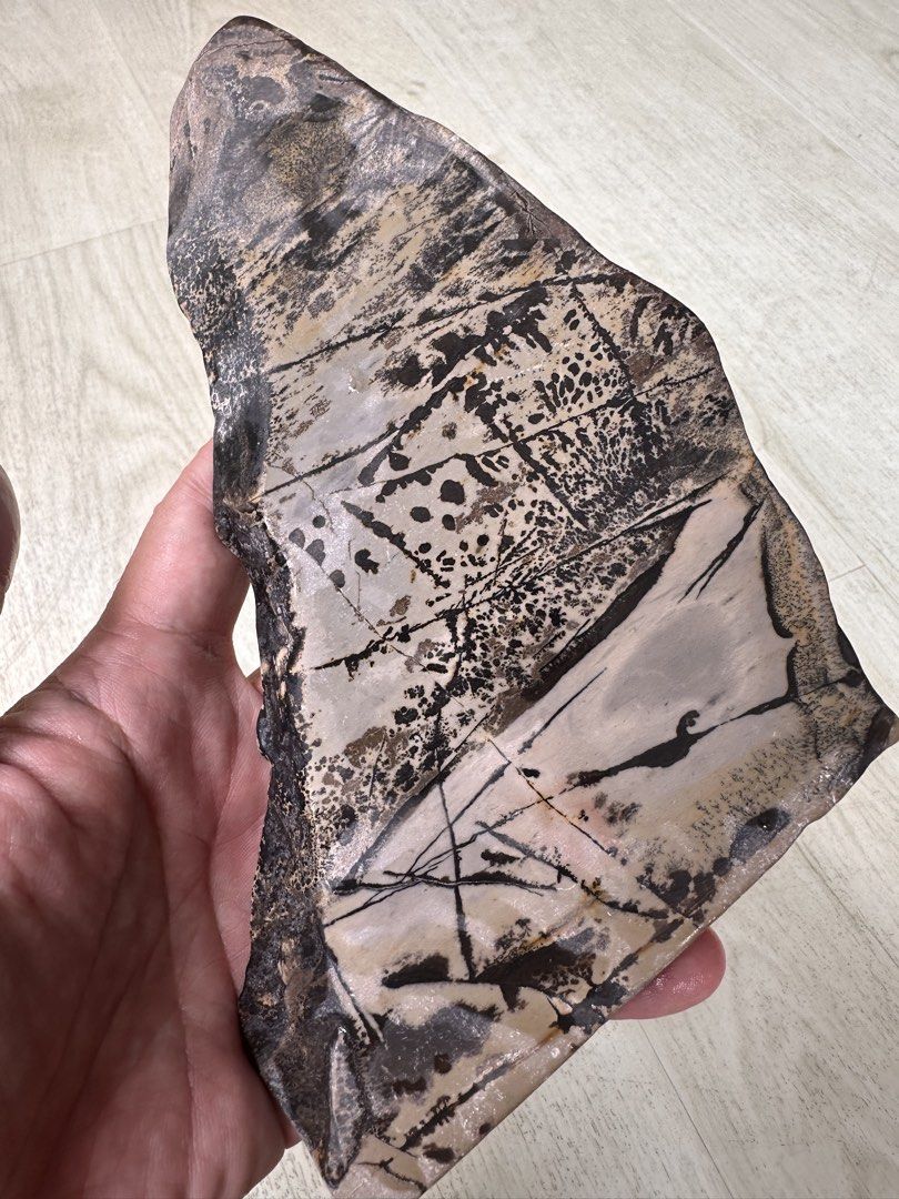 Unique stone with Chinese painting resemblance floral patterns aquarium decor household display collection (Category: Homes & Other Pet Accessories) located in Singapore. Submitted by ornamental_rocks (Listing ID 1444344038, Image 1). Description: Unique fragment of a rock with floral pattern that resembles a scenic Chinese painting. Some may see trees while some see fishes, poetic man, birds etc depending on how you orientate the rock. Rock meas