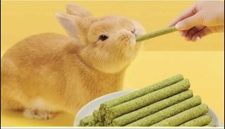 Premium Timothy Hay Treats Molar Sticks for Hamsters, Rabbits, Chinchillas, Guinea Pigs apple wood bamboo stick