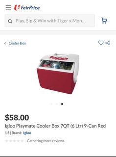 Clearance Sales BN Igloo Cooler Box
