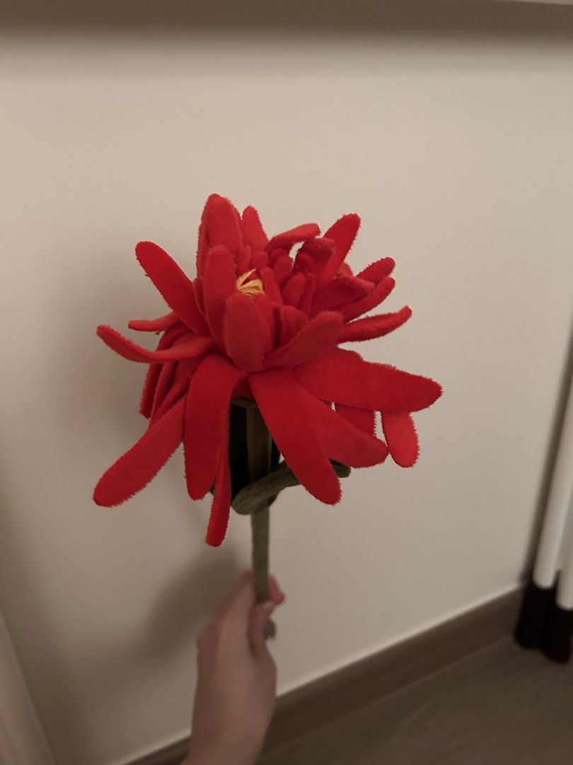 CJ Hendry Flowers (Category: Flowers & Bouquets) located in Singapore. Submitted by senchaa (Listing ID 1444963112, Image 2). Description: CJ Hendry Flowers Flowers $10 each .