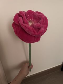 CJ Hendry Flowers