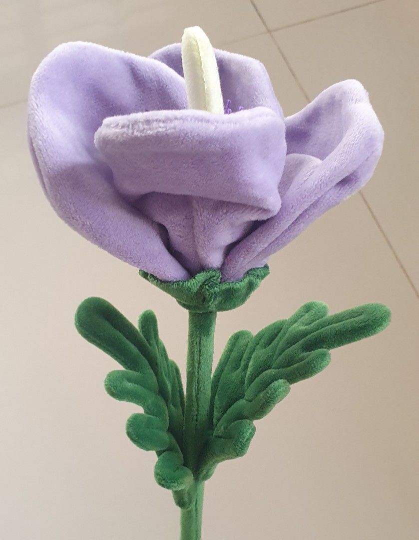 CJ Hendry Flower Market Plush Flowers (Category: Flowers & Bouquets) located in Singapore. Submitted by obooksale (Listing ID 1445867575, Image 6). Description: Pay by cash or paynow. No Carousell pay. Thanks Price is per piece Selling CJ Hendry Flower Market plush flowers. Purple and blue flowers. Great for bouquets..
