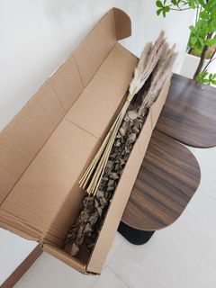 Dried Pampas Grass Stems for Home Decor