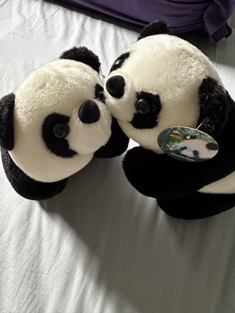 Cute Panda Plush Toys - Set of 2 (Category: Plushies & Soft Toys) located in Singapore. Submitted by crystallee1357 (Listing ID 1446995054, Image 1). Description: - Adorable panda plush toy pair - Soft, cuddly fur - Classic black and white markings - Great for collectors or as a gift - Perfect for room decoration.