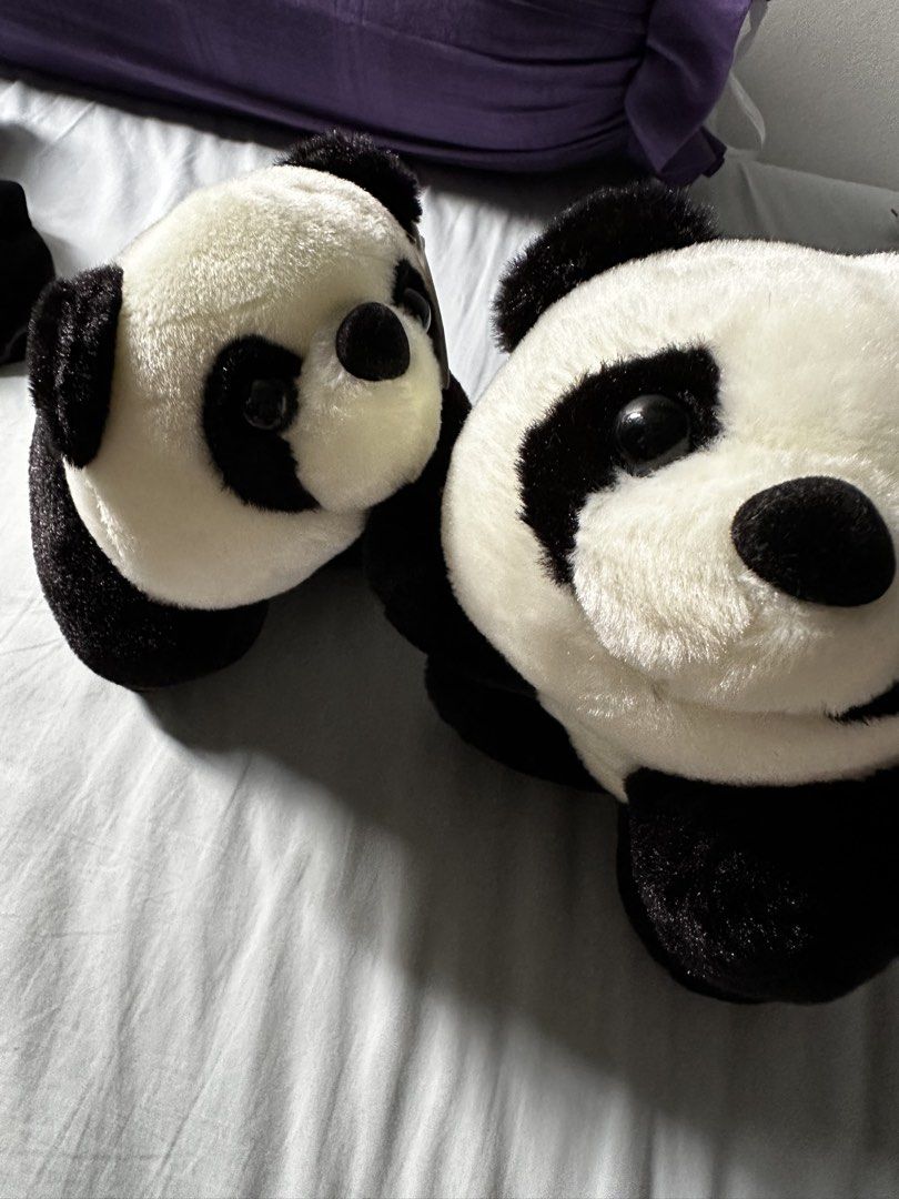 Cute Panda Plush Toys - Set of 2 (Category: Plushies & Soft Toys) located in Singapore. Submitted by crystallee1357 (Listing ID 1446995054, Image 2). Description: - Adorable panda plush toy pair - Soft, cuddly fur - Classic black and white markings - Great for collectors or as a gift - Perfect for room decoration.