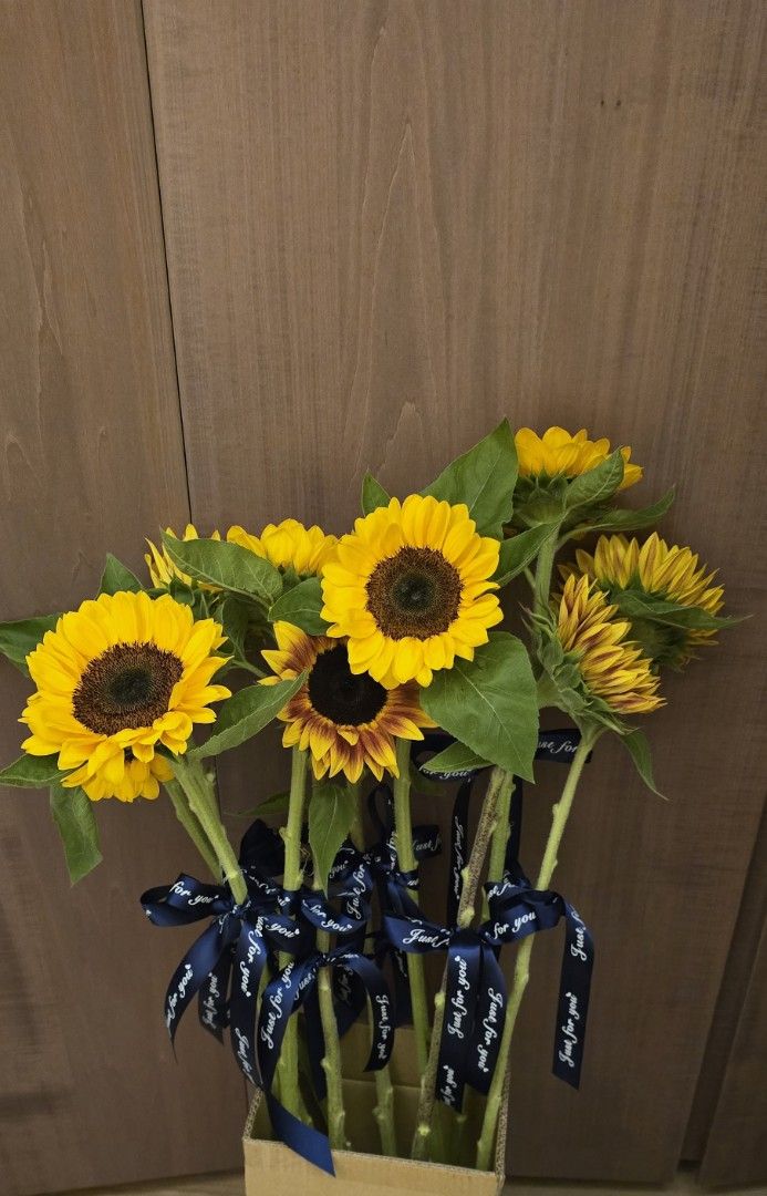 Sunflowers graduation bouquet (Category: Flowers & Bouquets) located in Singapore. Submitted by pk.blossom (Listing ID 1448869129, Image 1). Description: send a bouquet to congratulate the graduation for as low as $6. just PM for more details..