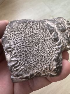 灵璧核桃纹石lingbi walnut rock display collection