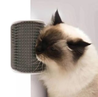 Catit Cat self grooming brush